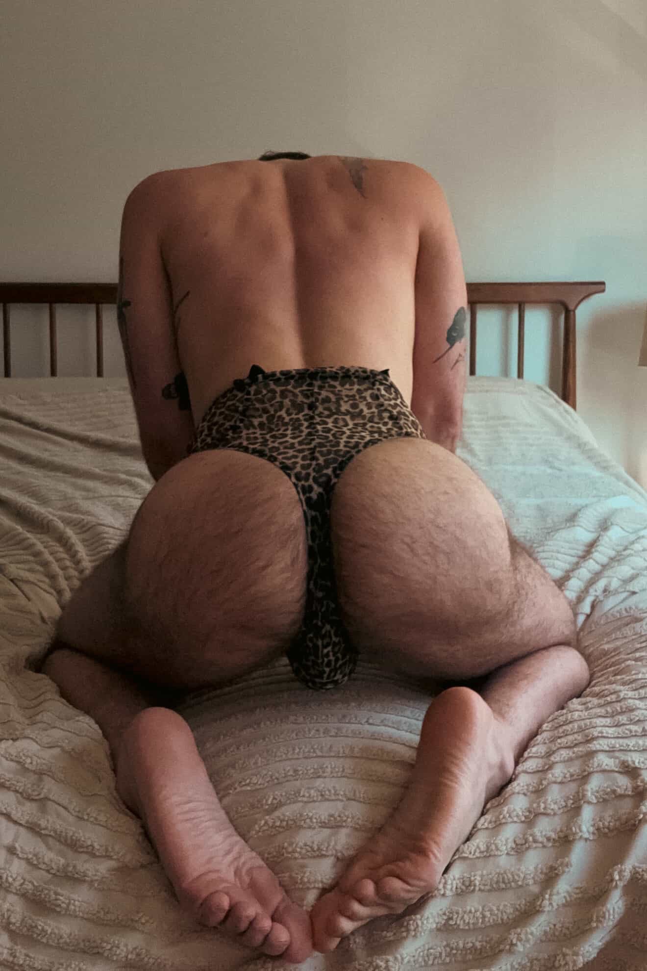 PROWL Kitty Corest Thong