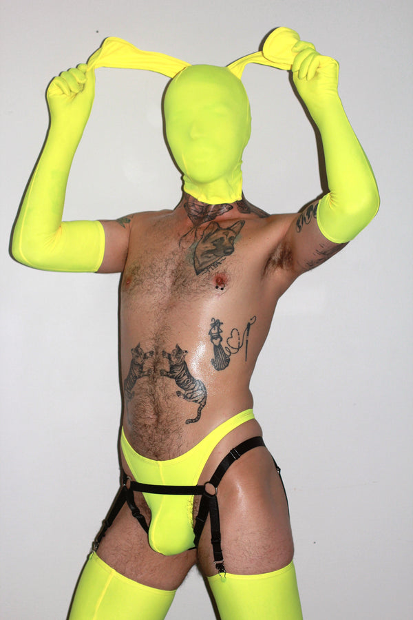 Elastic Harness