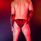 Inferno Brief