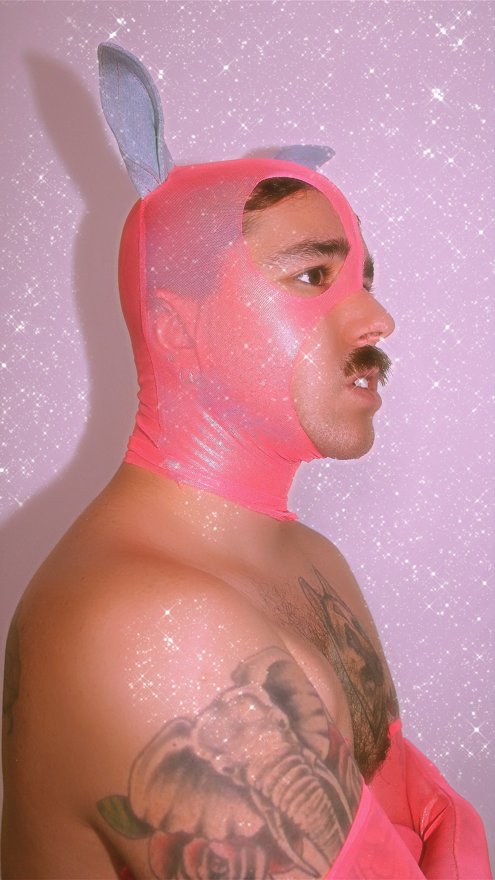 Twink-le Pink Hood